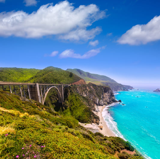 Australia + New Zealand + Fiji